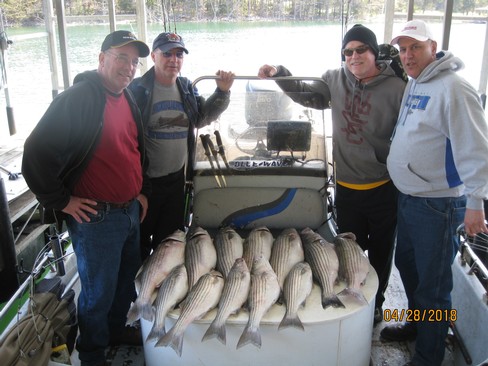 Nice Striped Bass